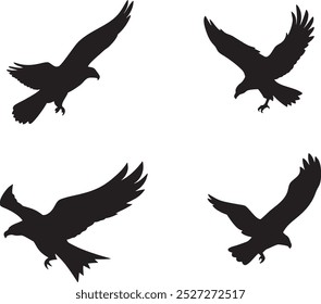 The Eagle vector silhouette image for illustration. 