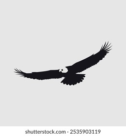 Eagle Vectors and logo eps 2
