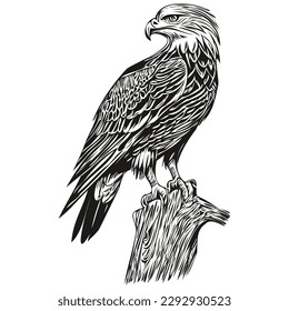 eagle  vintage illustration, black and white vector art bird
