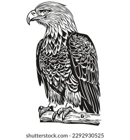 eagle  vintage illustration, black and white vector art bird
