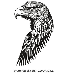 eagle  vintage illustration, black and white vector art bird
