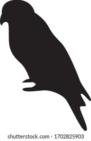Adler-Vinyl-fertige Vektorillustration auf weißem Hintergrund