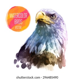 Eagle watercolor  bird isolated on white background. Vector illustration