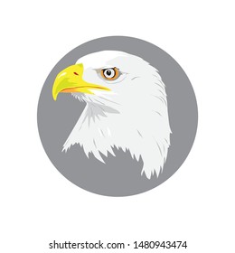 eagle, white background vector illustration
