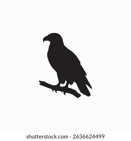 Eagle Wild Bird Art Image