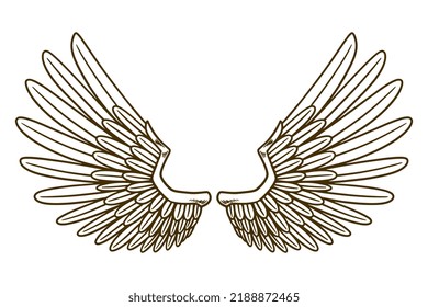 eagle wing vector illustration object
