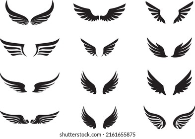 Eagle wings feather wings vector