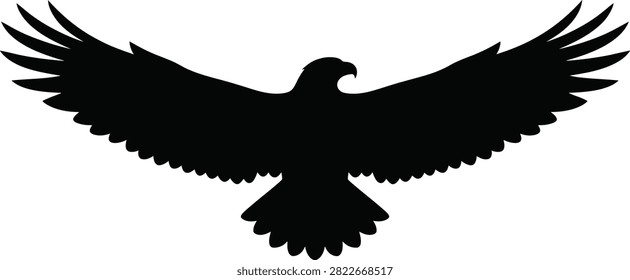 Eagle, wings, soaring, predator, silhouette.