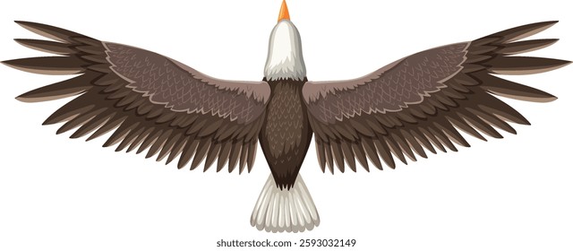 Eagle with wings spread wide, viewed from above