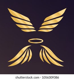 Eagle wings vector. Wings angel isolated. Bird wings cartoon art