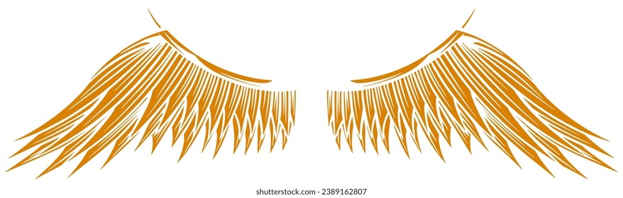 Eagle wings vector design. illustration
