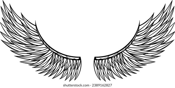 Diseño vectorial de alas águilas. ilustración