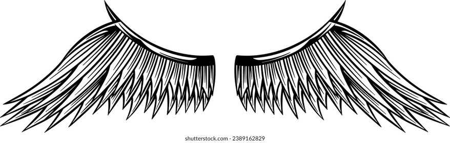 Eagle wings vector design. illustration