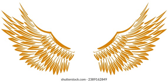 Eagle wings vector design. illustration