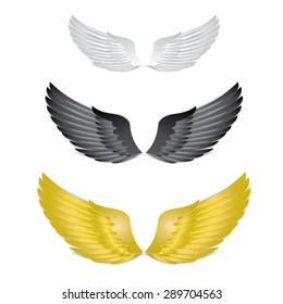 Eagle wings - vector drawing