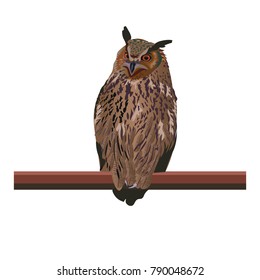 Eagle-owl bird sitting on branch. Vector illustration isolated on white background