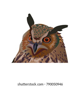 Eagle-owl portrait. Vector illustration isolated on white background