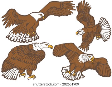 eagles