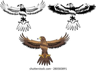 Eagles 