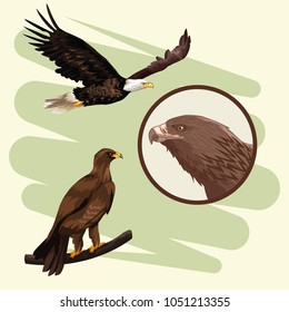Eagles art drawing