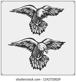 Eagles. Emblems and template for sport club design.