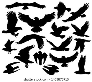 Eagles, falcons and predatory birds heraldry silhouettes. Vector isolated heraldic coat of arms symbols of vultures and hawks, flying birds of prey and bald eagle, falconry or falcon hunt