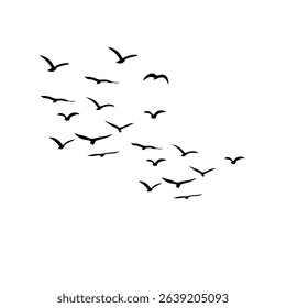 Eagles flying set silhouette isolated on white background.