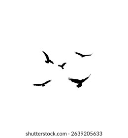 Eagles flying silhouette isolated on white background.Vector illustration of flying eagles.