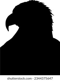 eagle's head while stalking prey