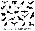 Eagles silhouette vector art white background