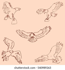 Eagles. Sketch pencil. Drawing by hand. Vintage colors. Vector