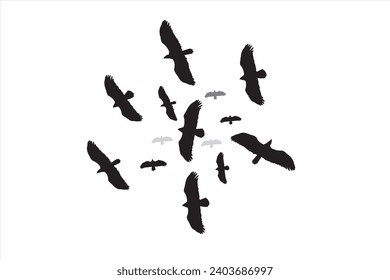 Eagles soaring in the sky. Vector images. White background. 