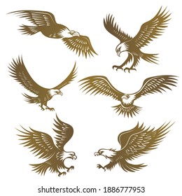 Eagles stylized. Flying wild freedom birds hawk recent vector emblems