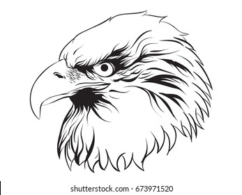 Eagles Vector Draw Illustration Line art