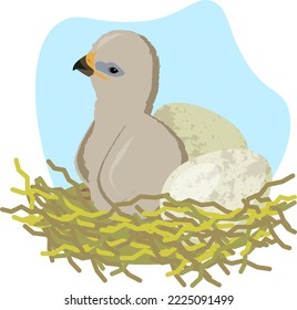 eaglet and eagle eggs in the nest. vector illustration