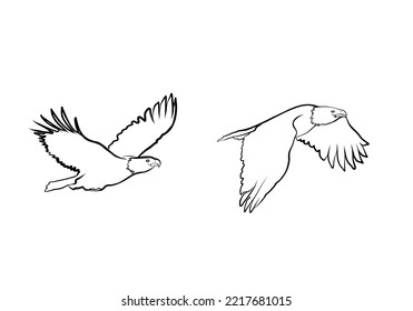 Eaglse linear vector hand drawing illustration. Isolated on white background. Vector illustration. Eagles flying logo set.