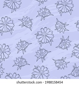 eamless pattern with chicory flowers. Healing herbs for design Natural cosmetics, aromatherapy, medicine, health products and homeopathy.