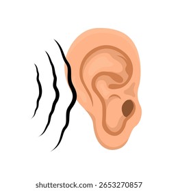 ear anatomy vector illustration on white background
