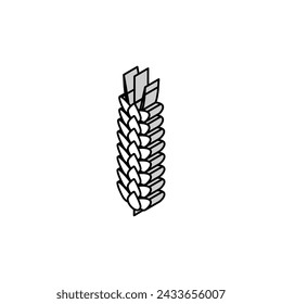 ear barley cereal isometric icon vector. ear barley cereal sign. isolated symbol illustration