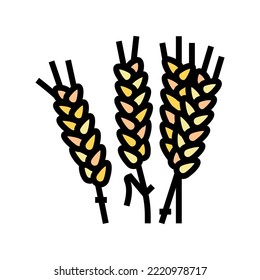ear barley color icon vector. ear barley sign. isolated symbol illustration