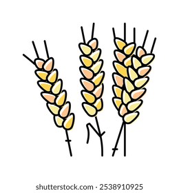vetor de ícone de cor de cevada da orelha. sinal de cevada da orelha. ilustração de símbolo isolado