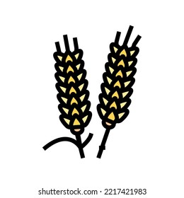 ear barley grain color icon vector. ear barley grain sign. isolated symbol illustration