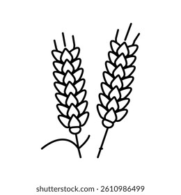ear barley grain line icon vector. ear barley grain sign. isolated contour symbol black illustration
