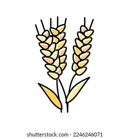 ear barley harvest color icon vector. ear barley harvest sign. isolated symbol illustration