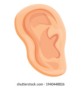 Ear body organ icon. Cartoon of ear body organ vector icon for web design isolated on white background