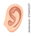 Ear, body parts. Flat vector clipart, illustration with isolated background.