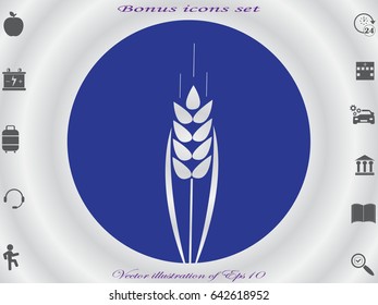 ear, bread, icon, vector illustration eps10