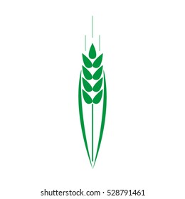 ear, bread, wheat, icon, vector illustration, eps10