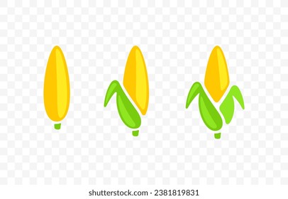 Ear corn, corn, corn cob, maize, food and meal, graphic design. Cob, sweet corn, plant, vegetable, agriculture and farming, vector design and illustration