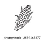 ear of corn doodle hand drawn icon. Outline drawing ear of corn line clipart symbol. Vector illustration